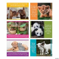 Best reviews of ⌛ Baby Animals Faith Messages Poster Set - 6 Pc. ✔️