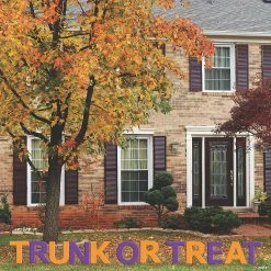 Best reviews of ❤️ Purple & Orange Trunk or Treat Letter Kit 🔥
